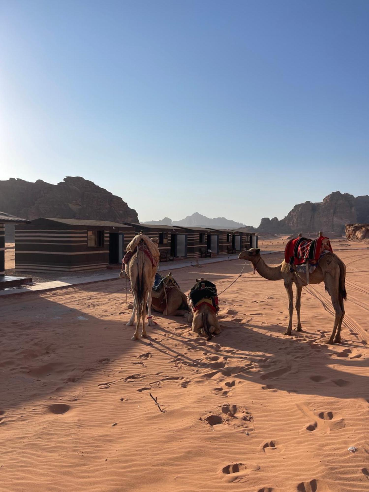 Wadi Rum Star Camp מראה חיצוני תמונה